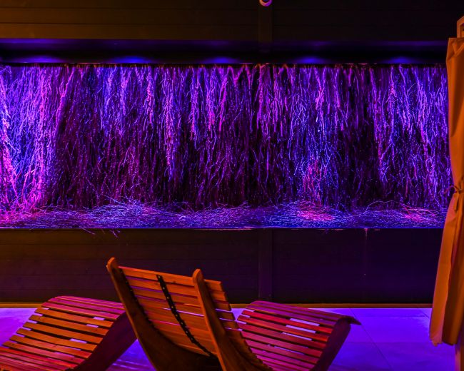 SPA & Wellness